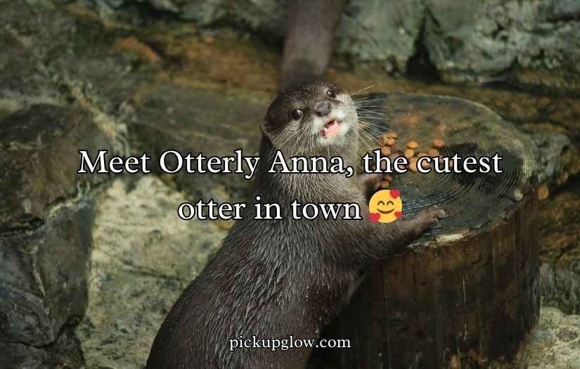 Otter Puns and Jokes