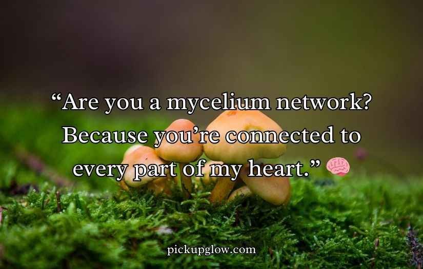 Mushroom Pick-Up Lines