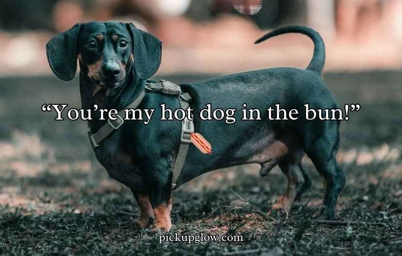 Dachshund Puns