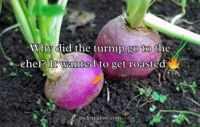 Turnip Puns and Jokes