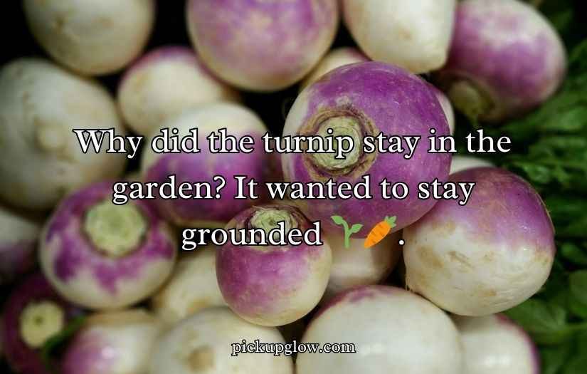 Turnip Puns and Jokes