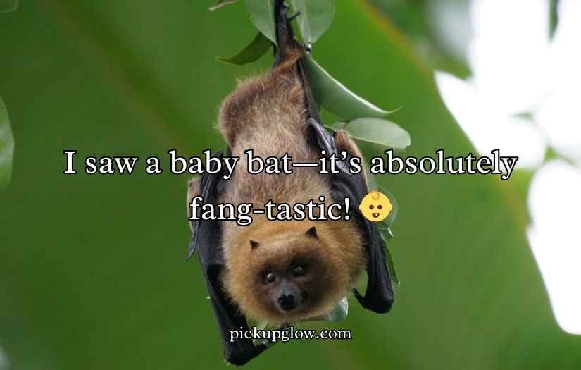 Bat Puns and Jokes