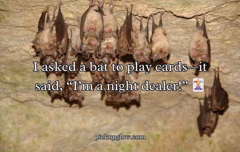 Bat Puns and Jokes