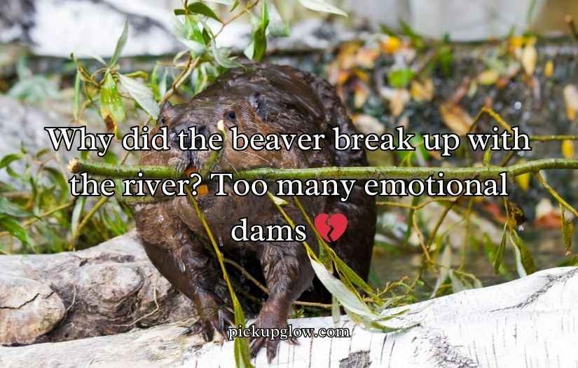 Beaver Puns