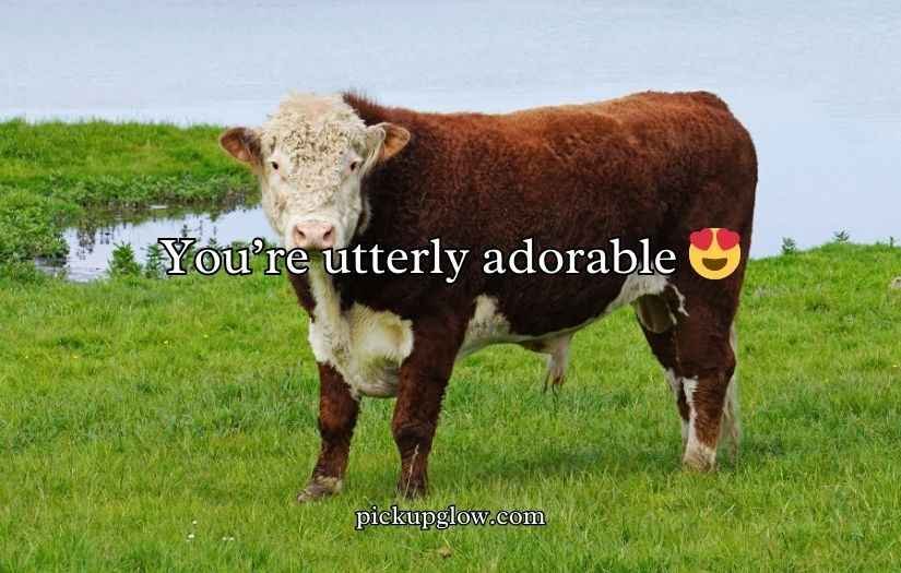 Bull Puns