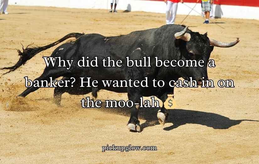 Bull Puns