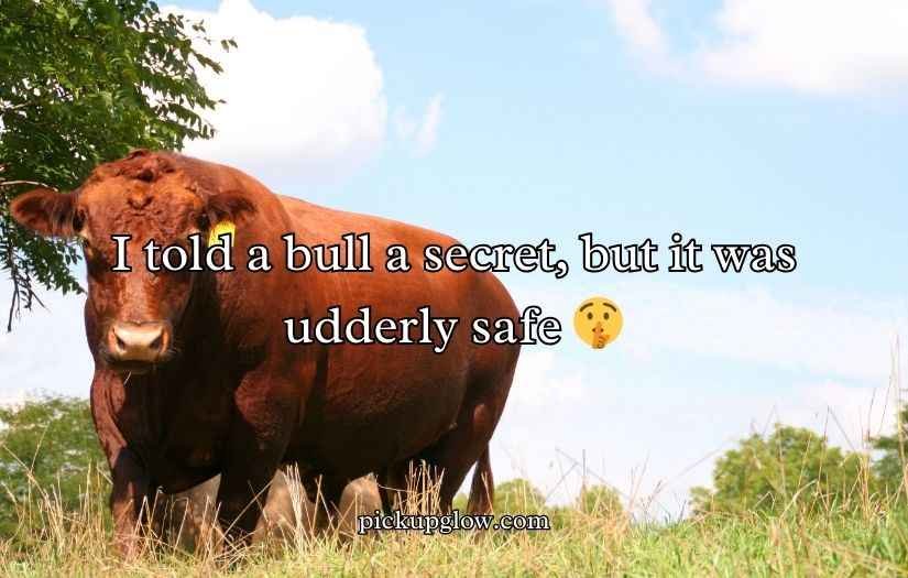 Bull Puns