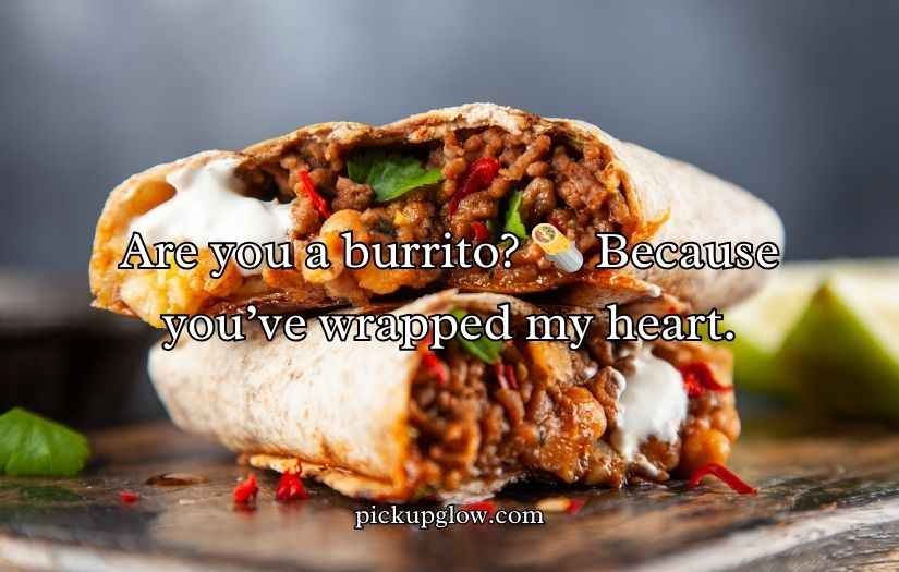 Burrito Puns and Jokes