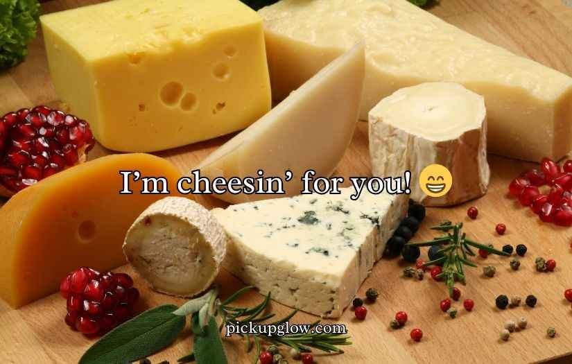 Camembert Puns