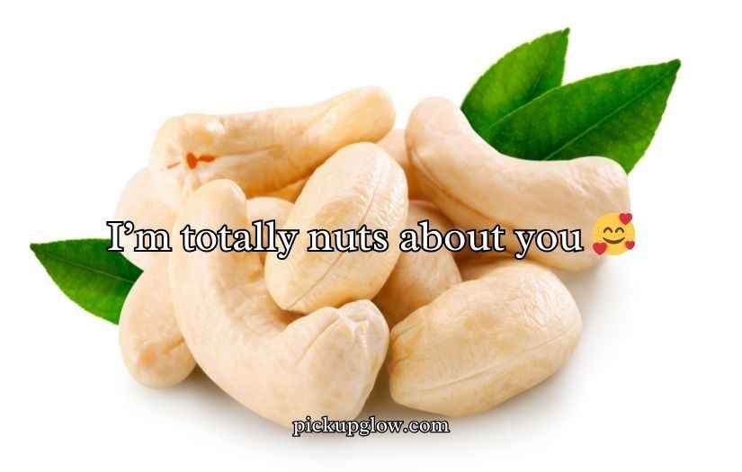 Cashew Puns