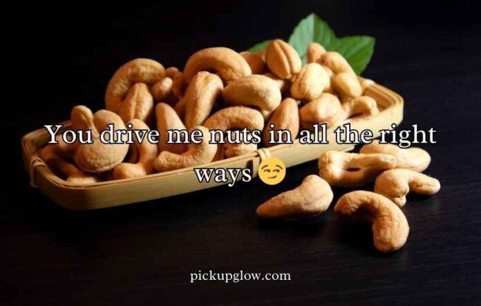 Cashew Puns