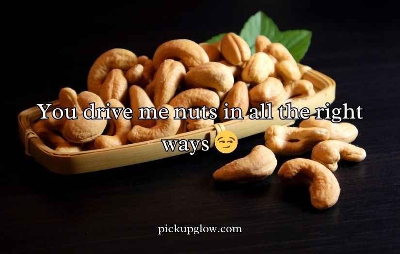 Cashew Puns