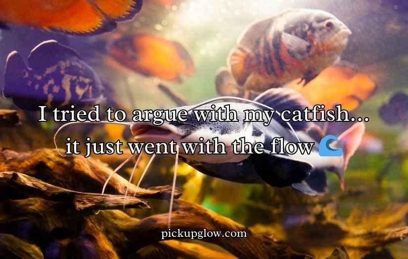 Catfish Puns and Jokes