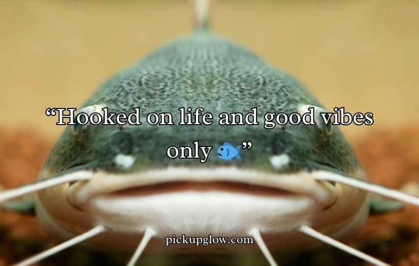 Catfish Puns and Jokes