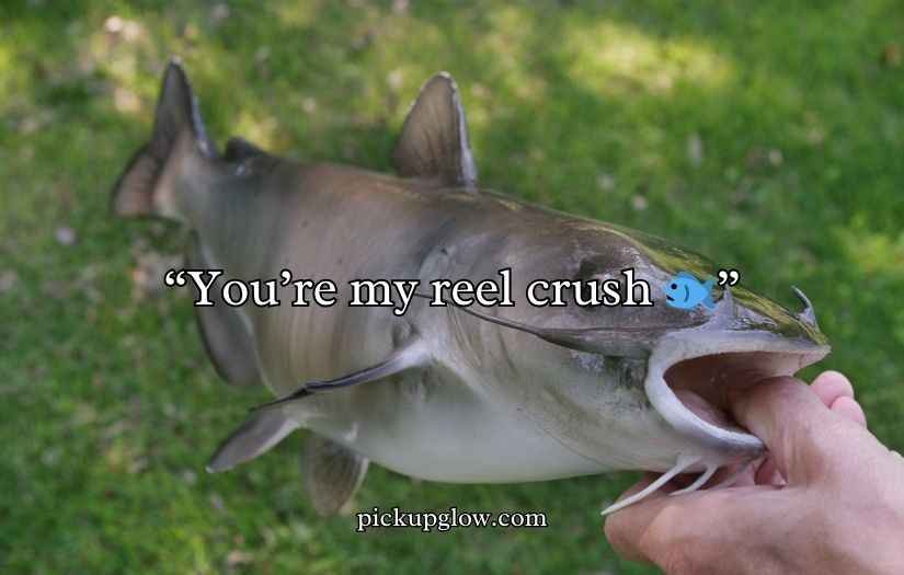 Catfish Puns and Jokes