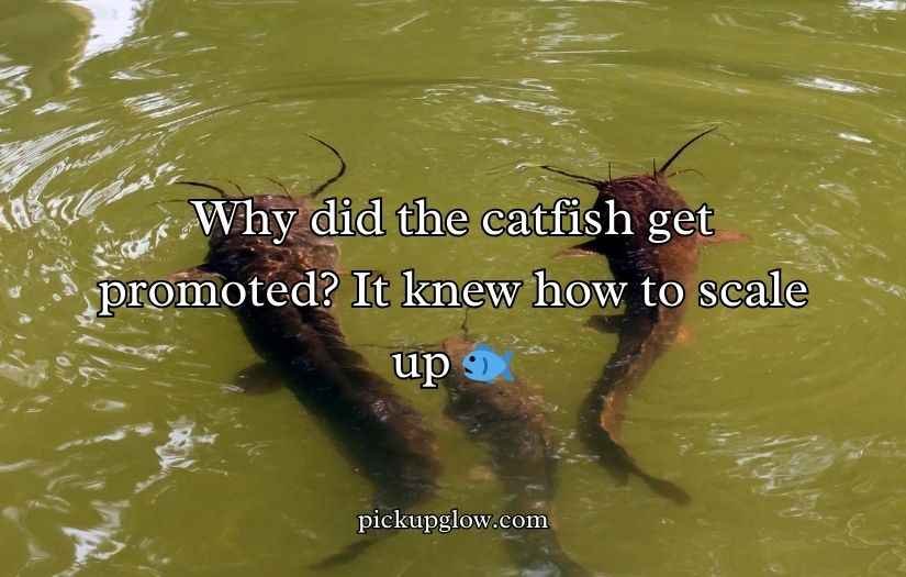 Catfish Puns and Jokes