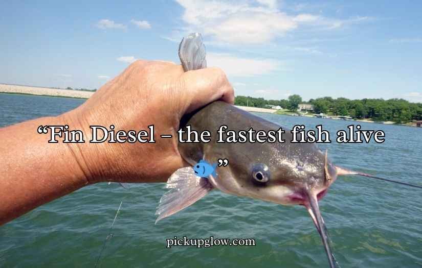 Catfish Puns and Jokes