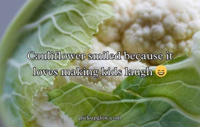 Cauliflower Puns and Jokes