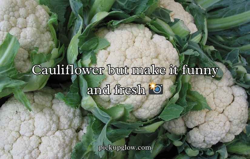 Cauliflower Puns and Jokes