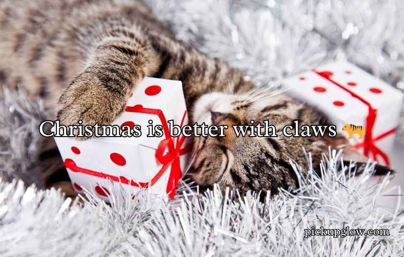 Christmas Cat Puns