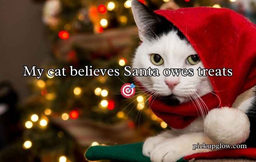 Christmas Cat Puns