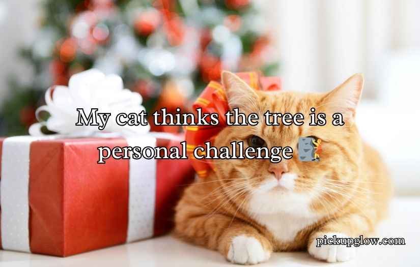 Christmas Cat Puns