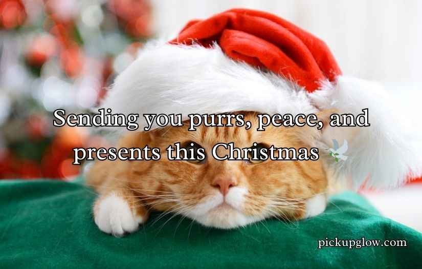 Christmas Cat Puns