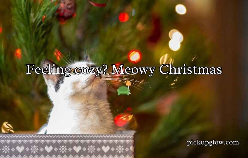 Christmas Cat Puns