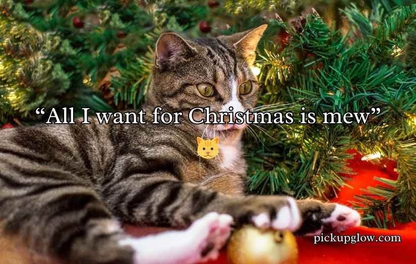 Christmas Cat Puns