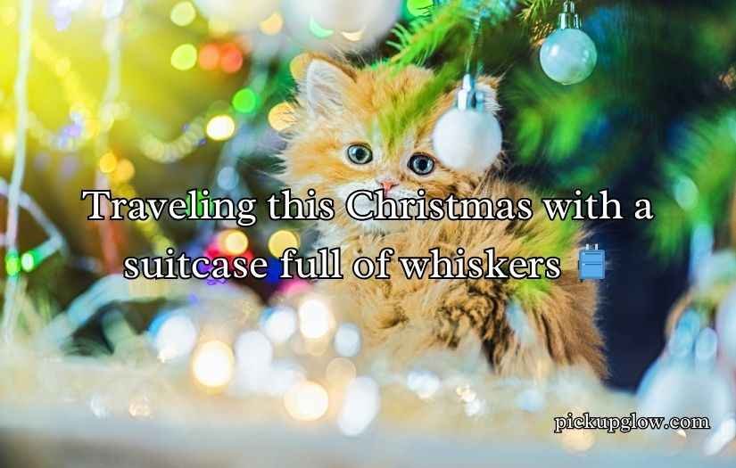 Christmas Cat Puns