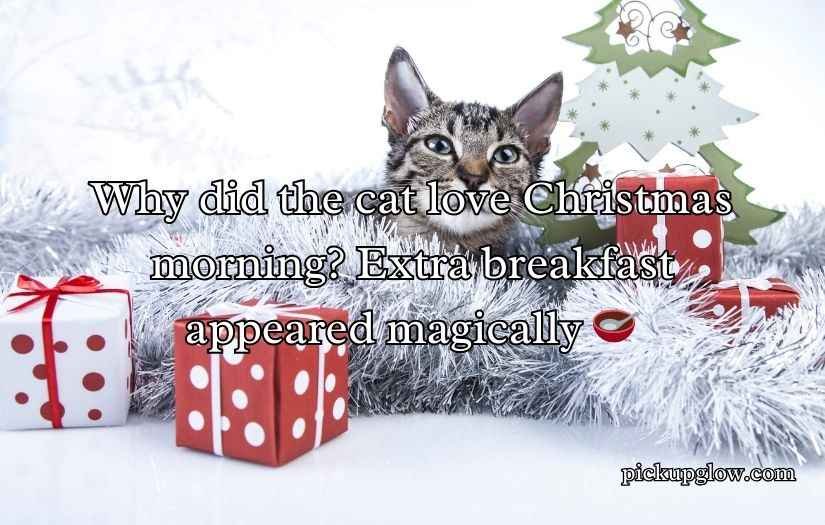 Christmas Cat Puns