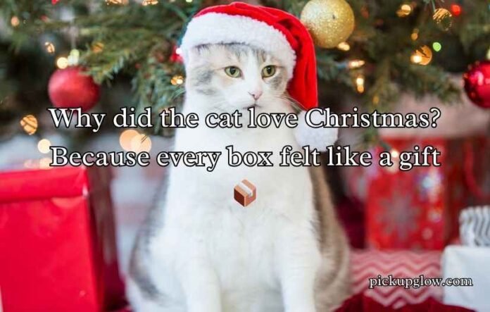 Christmas Cat Puns