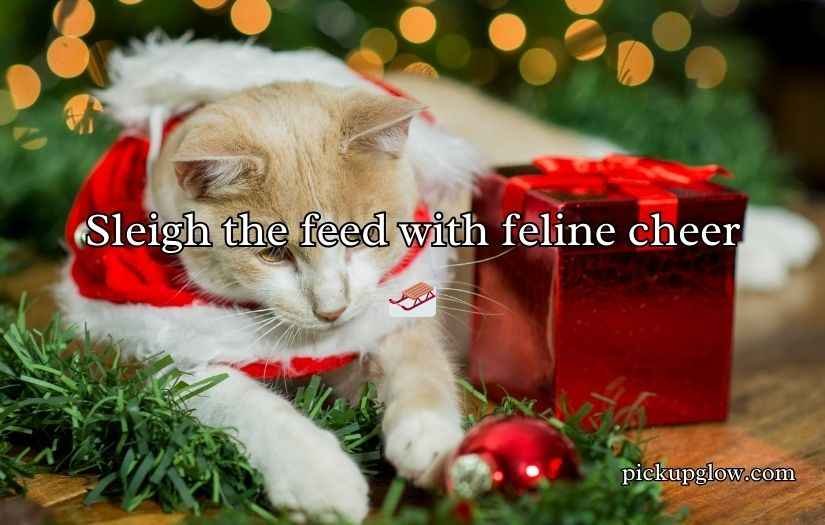 Christmas Cat Puns