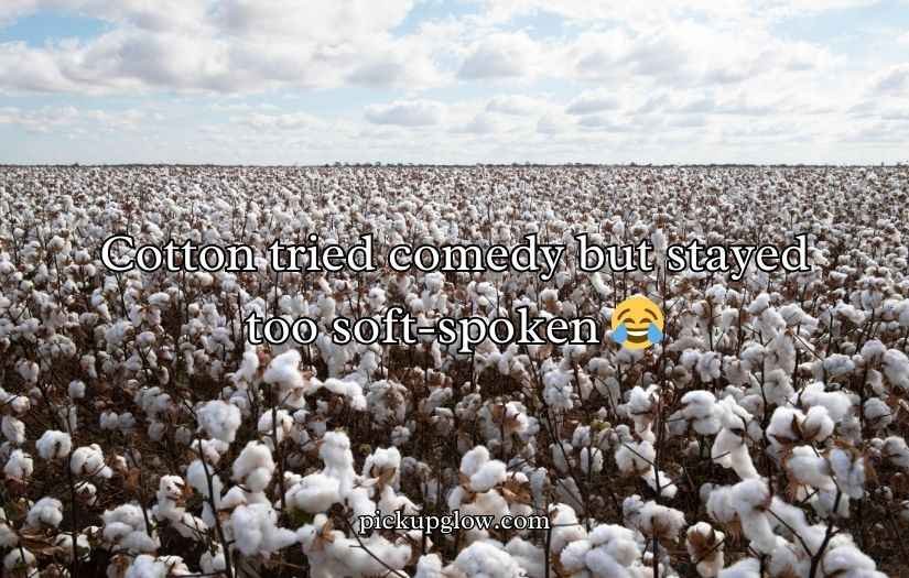 Cotton Puns