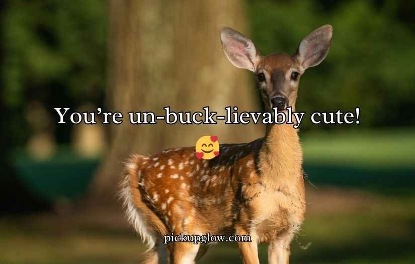 Deer Puns and Jokes