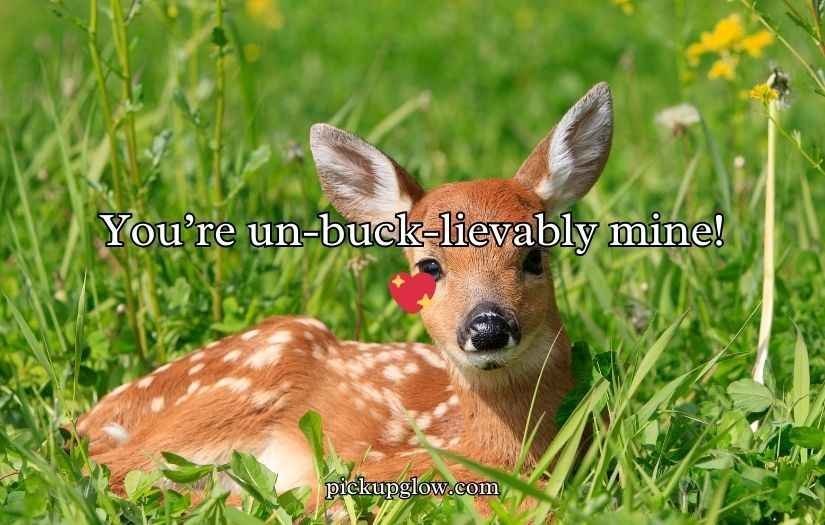 Deer Puns and Jokes