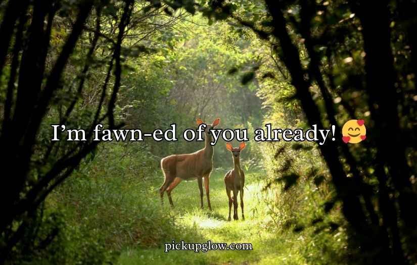 Deer Puns and Jokes