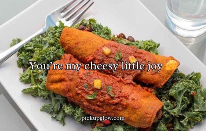 Enchilada Puns