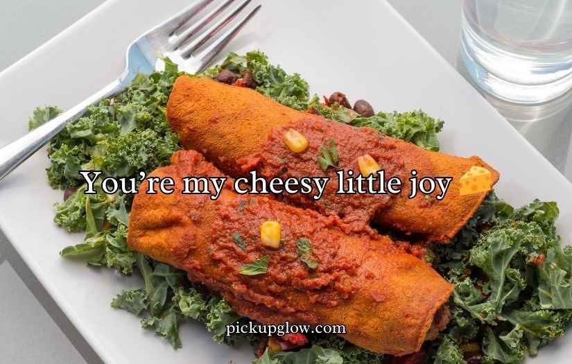 Enchilada Puns