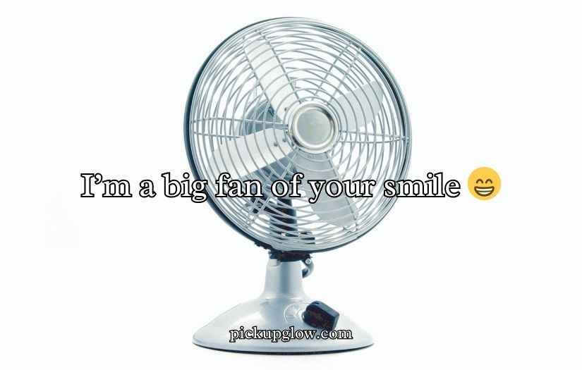 Fan Puns