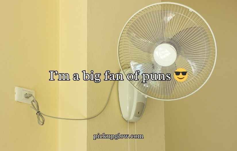Fan Puns