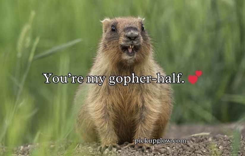 Gopher Puns