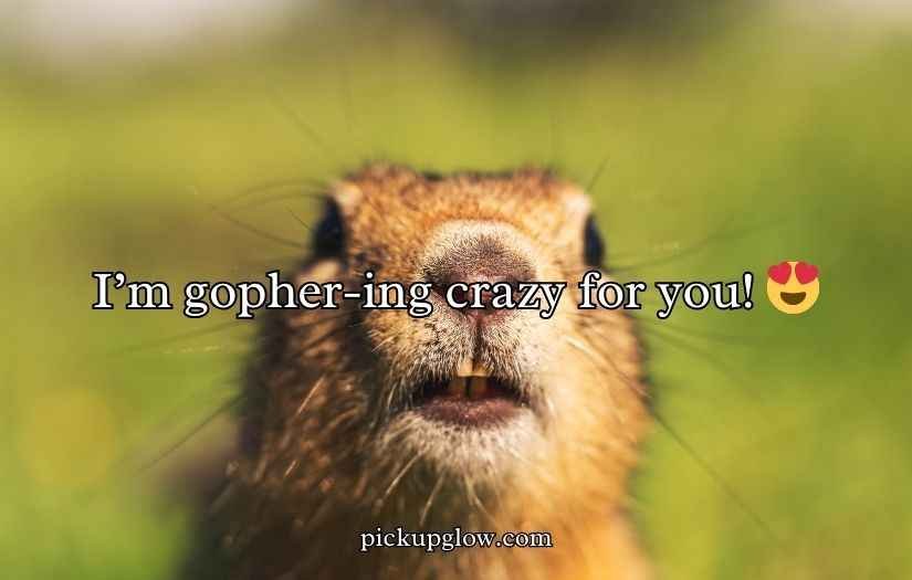 Gopher Puns
