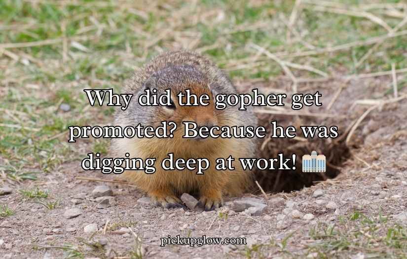 Gopher Puns