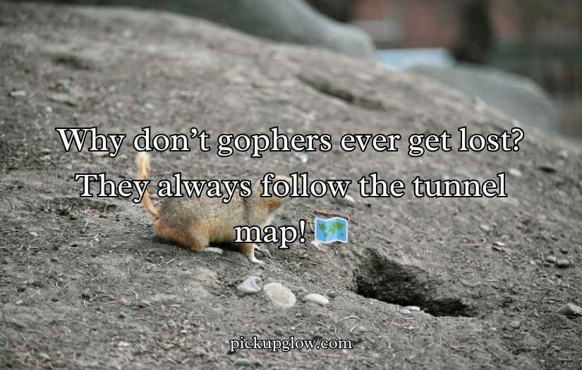 Gopher Puns