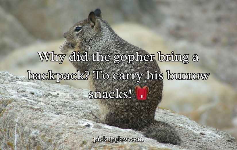 Gopher Puns