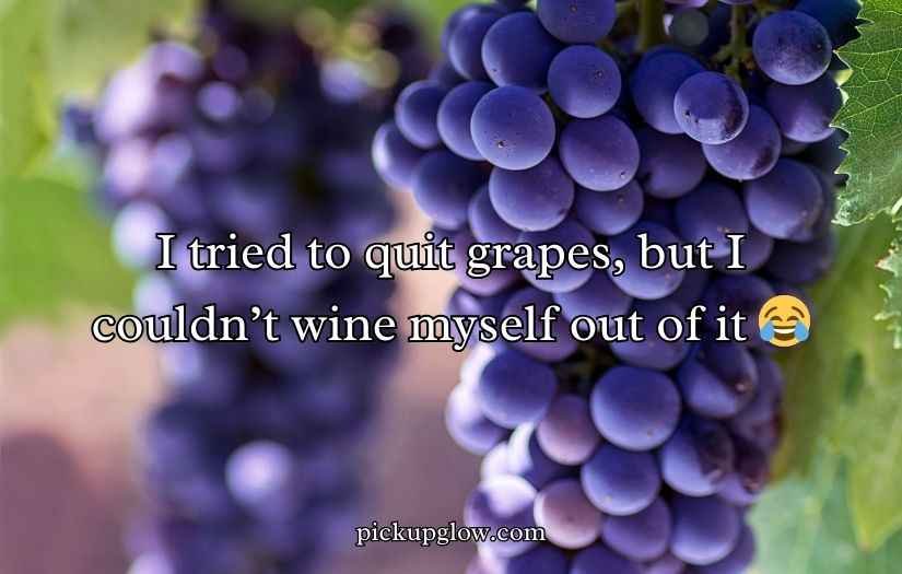 Grape Puns