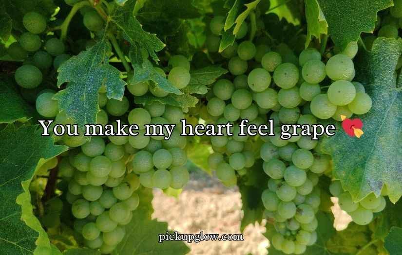 Grape Puns