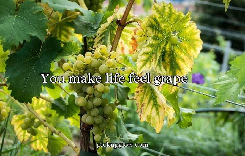 Grape Puns