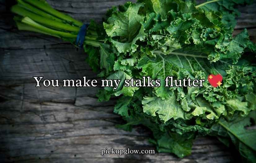 Kale Puns and jokes